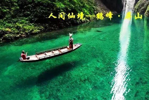 拉出的屎有白色粘稠物知识问答网页-解答你的各种疑问